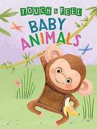 Baby Animals: A Touch and Feel Book - Children's Board Book - Educational